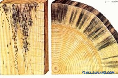Protección de estructuras de madera contra la pudrición y el moho: recomendaciones.