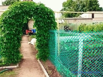 Cómo elegir una malla de jardín para la cerca.