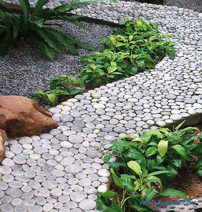 Arreglo de caminos de jardín - variedades, características e instalación.