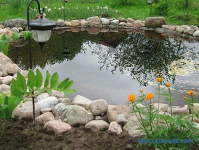 Estanque, hágalo usted mismo: cómo hacer un estanque en el sitio (+ fotos)
