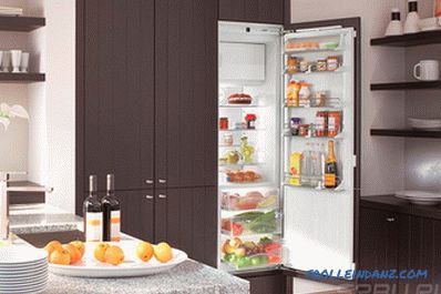 Cómo elegir un refrigerador - consejo experto