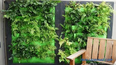 Cómo hacer un jardín vertical - creando un jardín vertical (+ fotos)