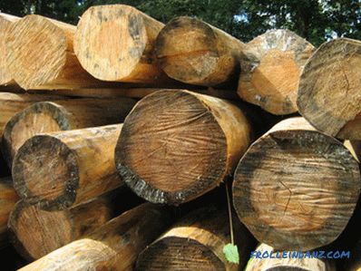 ¿Cómo tratar la madera de moho y hongos?