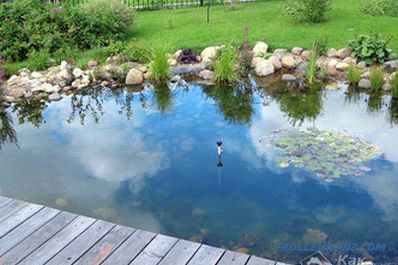 Estanque artificial hazlo tú mismo - cómo hacer un estanque