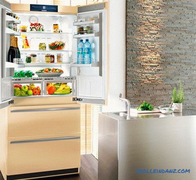 Tipos de refrigeradores para el hogar - una revisión detallada