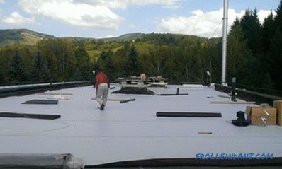 Techo a dos aguas hágalo usted mismo: montaje de un tejado a dos aguas